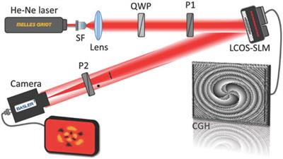 Phase-Shifting Common-Path Polarization Self-Interferometry for Evaluating the Reconstruction of Holograms Displayed on a Phase-Only Display